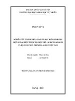 Tóm tắt luận án Tiến sĩ Sinh học: Nghiên cứu thành phần loài và đặc điểm sinh học một số đại diện thuộc bộ Mộc nhĩ - Auriculariales và bộ Ngân nhĩ - Tremellales ở Việt Nam