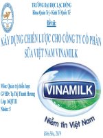 Tiểu luận môn quản trị chiến lược: Xây dựng chiến lược cho công ty cổ phần Sữa Việt Nam Vinamilk