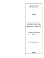 Tóm tắt luận án Tiến sĩ Địa chất: Đánh giá tiềm năng sa khoáng tổng hợp ven bờ biển miền Trung Việt Nam, sử dụng hợp lý kinh tế chúng và bảo vệ môi trường