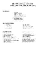 Đề cương ôn tập học kì 1 môn Tiếng Anh 10 năm 2018-2019 - Trường THPT Chu Văn An