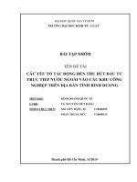 Các yếu tố tác động đến thu hút đầu tư trực tiếp nước ngoài vào các khu công nghiệp tại tỉnh bình dương