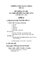 Đề cương ôn tập HK2 môn Ngữ văn 10 năm 2017-2018 - Trường THPT Hai Bà Trưng