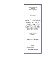Tóm tắt luận văn Tiến sĩ Y học: Nghiên cứu vai trò của NT-ProBNP huyết tương và luân phiên sóng T điện tâm đồ trong tiên lượng bệnh nhân suy tim