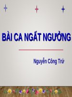 Bài giảng Ngữ văn 11: Bài ca ngất ngưởng - Nguyễn Công Trứ