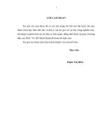 luận văn thạc sĩ kế toán hàng tồn kho tại công ty TNHH đầu tư window việt nam 