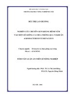 Tóm tắt luận văn Tiến sĩ Nông nghiệp: Nghiên cứu chuyển gen kháng bệnh nấm vào một số giống cà chua thông qua vi khuẩn Agrobacterium Tumefaciens