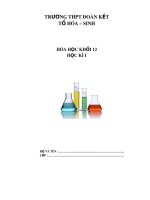 Đề cương ôn tập học kì 2 môn Hóa học 12 năm 2019-2020 - Trường THPT Đoàn Kết