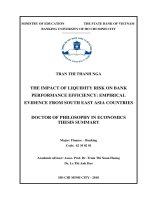 Doctor of philosophy in economics thesis summary: The impact of liquidity risk on bank performance efficiency: Empirical evidence from south east Asia countries