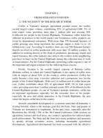 Summary of Doctoral thesis: Completing state policies to promote coffee exports in the Central Highlands