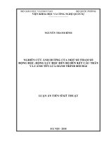 Luận án tiến sĩ Kỹ thuật: Nghiên cứu ảnh hưởng của một số tham số động học, động lực học đến độ bền kết cấu thân và cánh tên lửa hành trình đối hải