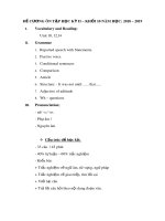 Đề cương ôn tập học kì 2 môn Tiếng Anh 10 năm 2018-2019 - Trường THPT Cẩm Xuyên