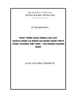 luận văn thạc sĩ phát triển hoạt động cho vay khách hàng cá nhân tại ngân hàng TMCP công thương việt nam – chi nhánh quang minh 