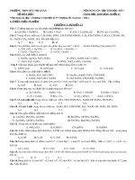 Đề cương ôn tập học kì 1 môn Hóa học 11 năm 2019-2020 - Trường THPT Bùi Thị Xuân