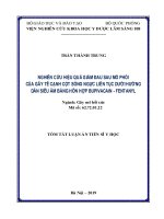 Tóm tắt Luận án Tiến sĩ Y học: Nghiên cứu hiệu quả giảm đau sau mổ phổi của gây tê cạnh cột sống ngực liên tục dưới hướng dẫn siêu âm hỗn hợp bupivacain -  fentanyl