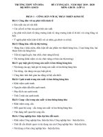 Đề cương ôn tập học kì 1 môn GDCD 11 năm 2019-2020 - Trường THPT Yên Hòa