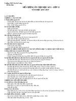 Đề cương ôn tập học kì I môn Hóa lớp 11 năm học 2018-2019 - Trường THPT Hai Bà Trưng