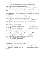 Đề cương ôn tập học kì 1 môn Tin học 10 năm 2019-2020 - Trường THPT Ngô Quyền