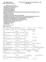 Đề cương ôn tập học kì 1 môn Toán 10 năm 2019-2020 - Trường THPT Hà Huy Tập