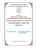 TIỂU LUẬN GIẢI PHÁP NHẰM NÂNG CAO CHẤT LƯỢNG NGUỒN NHÂN LỰC CHO CÁC DOANH NGHIỆP CƠ KHÍ TỈNH ĐỒNG NAI