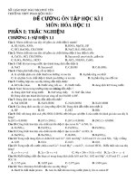 Đề cương ôn tập học kì 1 môn Hóa học 11 năm 2019-2020 - Trường THPT Phan Bội Châu