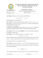 Đề thi HSG môn Toán 11 năm 2018-2019 có đáp án - Cụm trường THPT chuyên DHĐB Bắc bộ