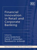 Financial innovation in retail and corporate banking 