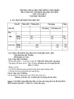Đề cương ôn tập học kì 1 môn Ngữ văn 11 năm 2018-2019 - Trường THPT Thái Phiên
