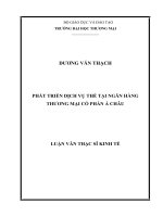 luận văn thạc sĩ phát triển dịch vụ thẻ tại ngân hàng thương mại cổ phần á châu 