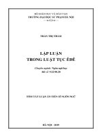 Tóm tắt luận án Tiến sĩ Ngôn ngữ: Lập luận trong luật tục Êđê