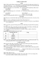 Đề cương ôn tập Hóa học 11 - Chương 2 Nhóm Nitơ