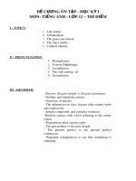 Đề cương ôn tập học kì 1 môn Tiếng Anh 12 năm 2019-2020 - Trường THPT Chu Văn An (Thí điểm)