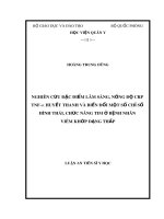 Luận án tiến sĩ Y học: Nghiên cứu đặc điểm lâm sàng, nồng độ CRP, TNF-α huyết thanh và biến đổi một số chỉ số hình thái, chức năng tim ở bệnh nhân viêm khớp dạng thấp