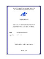 Summary of the PhD thesis: The impact of diversification on performance and risk of firms