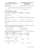 Đề thi học kì 2 môn Toán 11 năm 2018-2019 có đáp án - Trường THPT Nguyễn Hữu Thận