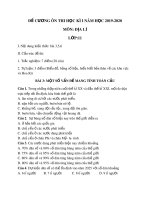 Đề cương ôn tập học kì 1 môn Địa lí 11 năm 2019-2020 - Trường THPT Việt Đức