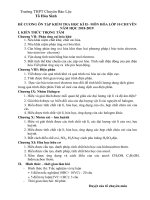 Đề cương ôn tập học kì 2 môn Hóa học 10 năm 2018-2019 - Trường THPT chuyên Bảo Lộc