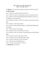 Đề cương ôn tập học kì 1 môn Tin học 11 năm 2018-2019 - Trường THPT Chu Văn An