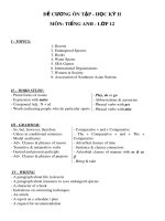 Đề cương ôn tập học kì 2 môn Tiếng Anh 12 năm 2018-2019 - Trường THPT Hai Bà Trưng