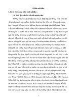 SKKN: Dạy nghĩa của từ và các lớp từ có quan hệ về ngữ nghĩa cho học sinh lớp 5