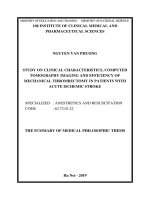 The summary of medical philosophic thesis: Study on clinical characteristics, computed tomography imaging and efficiency of mechanical thrombectomy in patients with acute ischemic stroke