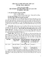 Báo cáo SKKN: Một số biện pháp bồi dưỡng đội ngũ giáo viên ở trường tiểu học