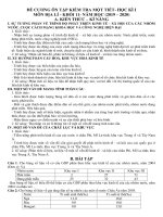 Đề cương ôn tập kiểm tra 1 tiết học kì 1 môn Địa lí 11 năm 2019-2020 - Trường THPT Đức Trọng