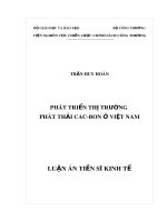 Luận án Tiến sĩ Kinh tế: Phát triển thị trường phát thải các-bon ở Việt Nam