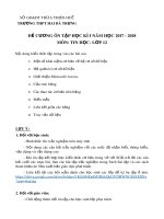 Đề cương ôn tập học kì 1 môn Tin học 12 năm 2017-2018 - Trường THPT Hai Bà Trưng