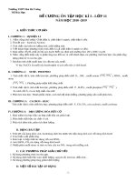 Đề cương ôn tập học kì 1 lớp 11 năm học 2018 -2019 môn Hóa học - Trường THPT Hai Bà Trưng