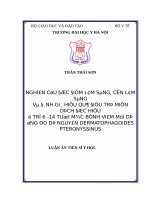 Nghiên cứu đặc điểm lâm sàng, cận lâm sàng và đánh giá hiệu quả điều trị miễn dịch đặc hiệu ở trẻ 6   14 tuổi mắc bệnh viêm mũi dị ứng do dị nguyên dermatophagoides pteronyssinus 