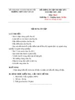 Đề cương ôn tập học kì 1 môn Địa lí 11 năm 2019-2020 - Trường THPT Chu Văn An (Khối cơ bản)