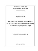Mở rộng thị trường tiêu thụ sản phẩm của công ty cổ phần công nghệ và thương mại mặt trời việt 