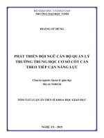 Tóm tắt luận án Tiến sĩ Khoa học Giáo dục: Phát triển đội ngũ cán bộ quản lý trường trung học cơ sở cốt cán theo tiếp cận năng lực