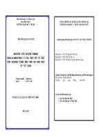 Tóm tắt luận án Tiến sĩ Y học: Nghiên cứu nhiễm Human Papillomavirus ở phụ nữ có các tổn thương tiền ung thư và ung thư cổ tử cung